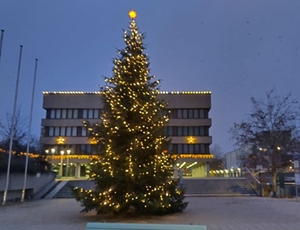 Weihnachtsbeleuchtung